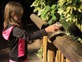 Kids_FL-Day3_11-2016 (29)